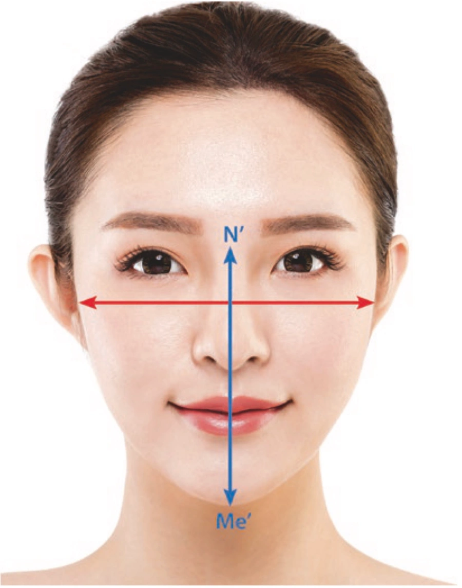 features of Asian face