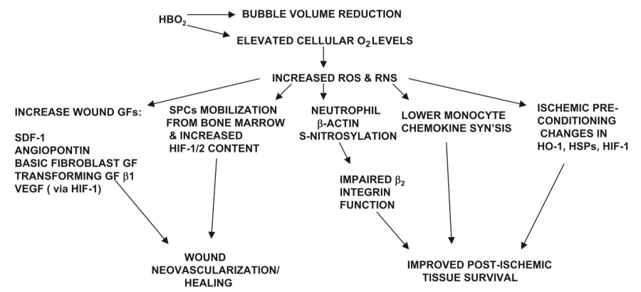 hyperbaric oxygen therapy mechanism